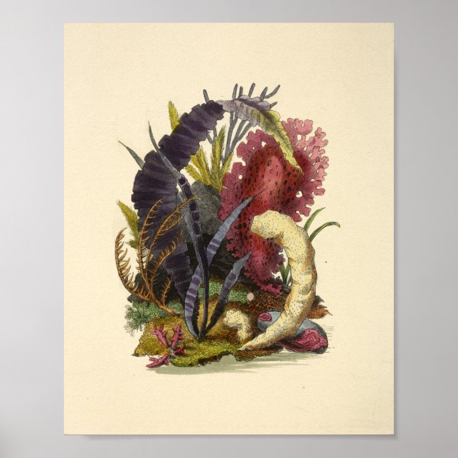 Colorado Kunst, Dichtung und Musik Poster (Vorne)