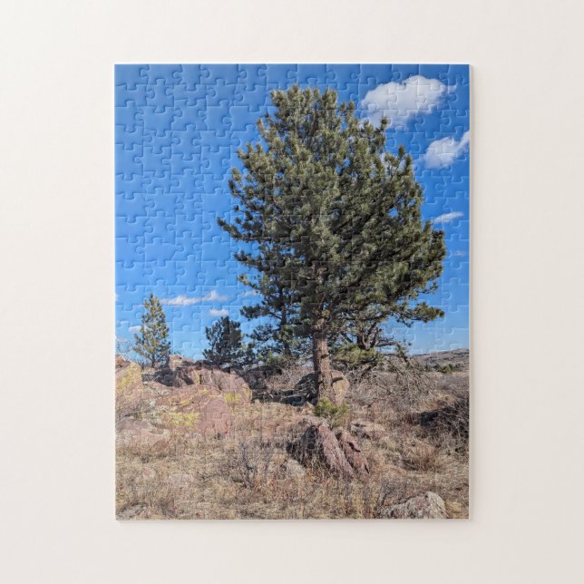 Colorado-Landschaft entlang des Flatirons Trail  (Vertikal)