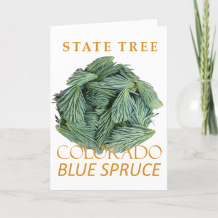 Colorado Landschaftsbaum Blauer Himmel Feiertagskarte