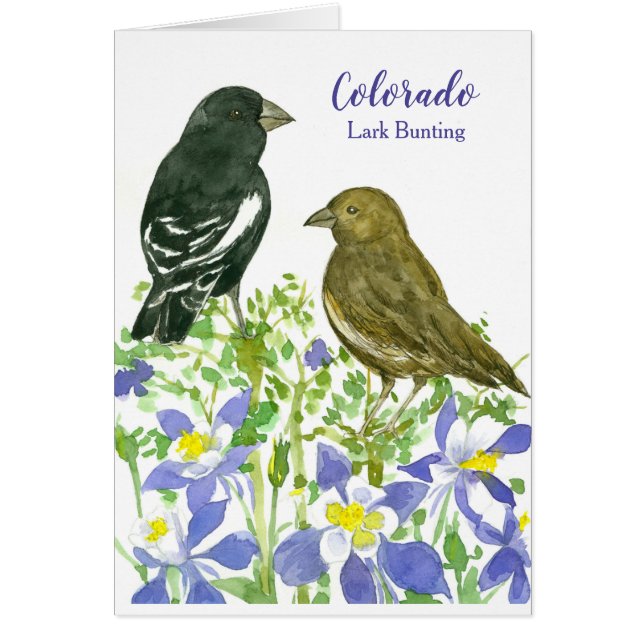 Colorado Lark Bunting Aquarelle Birds Blank (Devant)