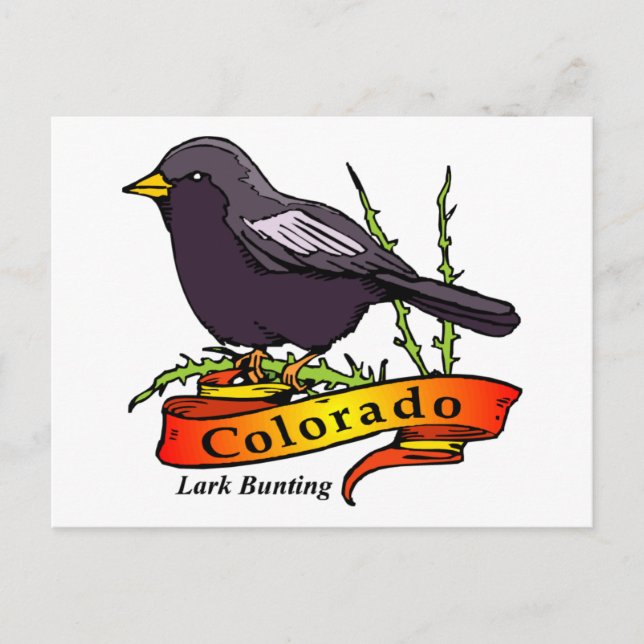 Colorado Lark Postkarte (Vorderseite)