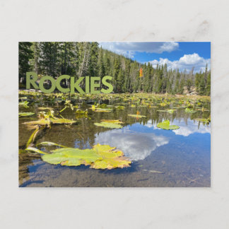 Colorado Lily Pad Rocky Mountains Postkarte