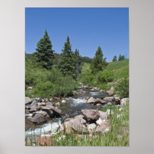 Colorado Mountain Stream Poster