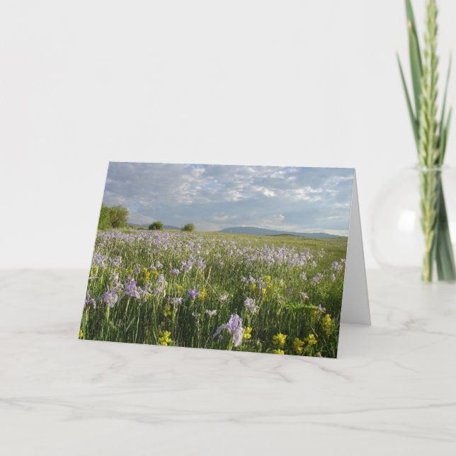 Colorado Mountain Wildblumen Jeder Anlass Karte (Vorderseite)