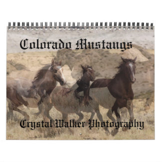 Colorado-Mustang-Kalender Kalender