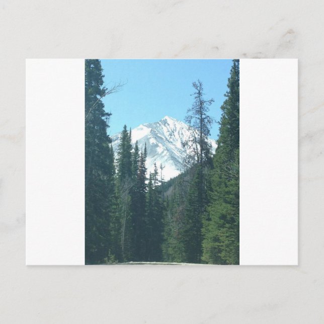 COLORADO POSTKARTE (Vorderseite)