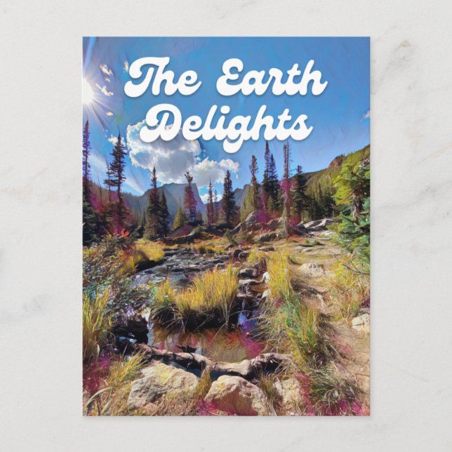 Colorado Rocky Mountain Creek Postcard Postkarte (Vorderseite)