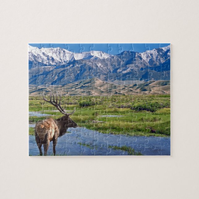 Colorado Rocky Mountains Elk (Horizontal)