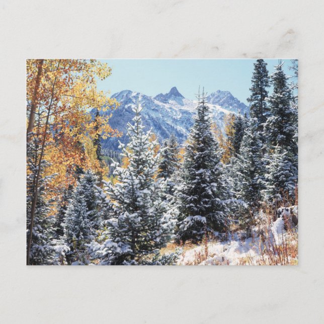 Colorado, San Juan Mountains, erster Schnee Postkarte (Vorderseite)