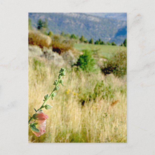 Colorado September Postkarte (Vorderseite)