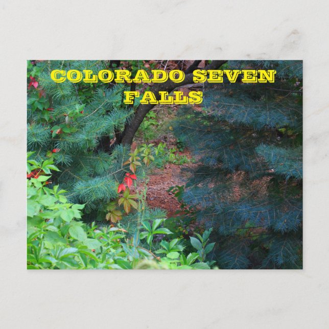 Colorado Seven Falls mit Bäumen POST CARD Postkarte (Vorderseite)