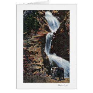 Colorado Springs, CO - Untere Drei Wasserfälle
