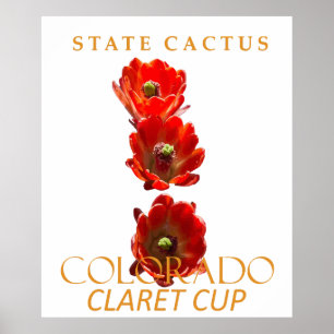 Colorado-Territorium-Kaktus Der Claret Cup Poster