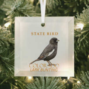 Colorado-Territoriums-Vogel Die Lerchentrappe Ornament Aus Glas