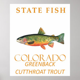 Colorado Territory Fische Die Greenback-Forelle Poster