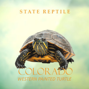 Colorado Territory Reptil Western Painted Turtle Fensteraufkleber