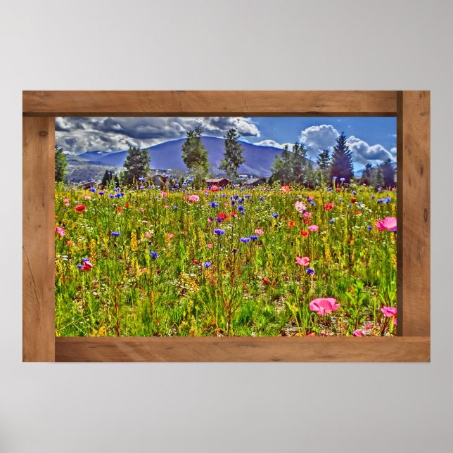 Colorado Wildblume Poster (Vorne)