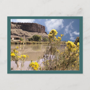 Colorado Wildblumen Postkarte