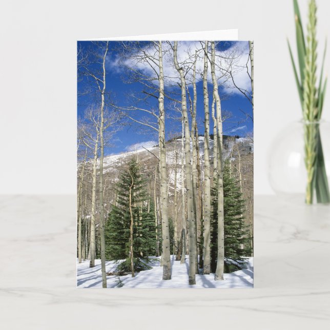 Colorado Wilderness Karte (Vorderseite)