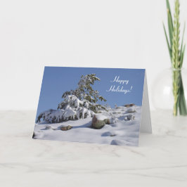 Colorado Winter Pine Weihnachtskarte Feiertagskarte