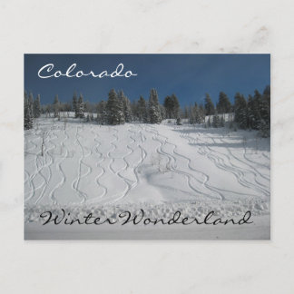 Colorado Winterwunderland Postkarte