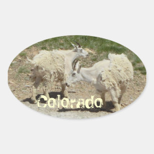 Colorado Ziegenaufkleber Ovaler Aufkleber