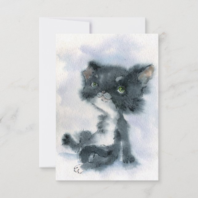 Colorcat 3 (Vorderseite)