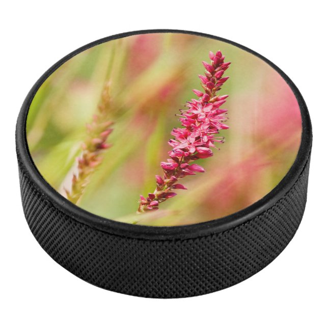 Colore Eishockey Puck (3/4)