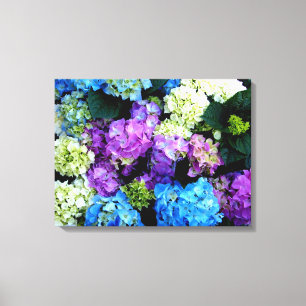 Coloré, Fleurs, Toile Arrière - plan Imprimer