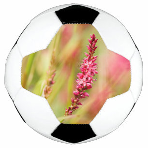 Colore Fußball