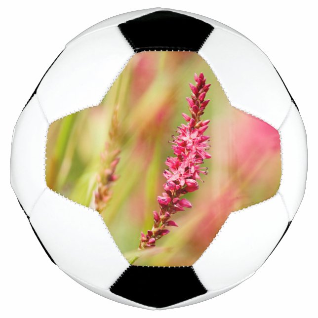 Colore Fußball (Vorderseite)