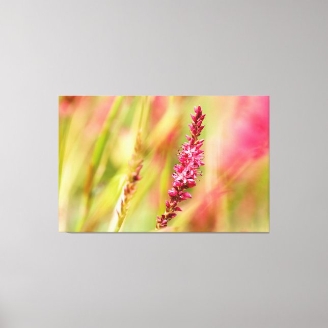 Colore Leinwanddruck (Vorderseite)