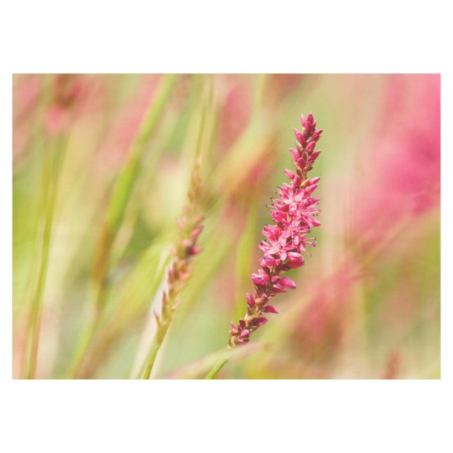 Colore Tischdecke (Vorderseite (Horizontal))
