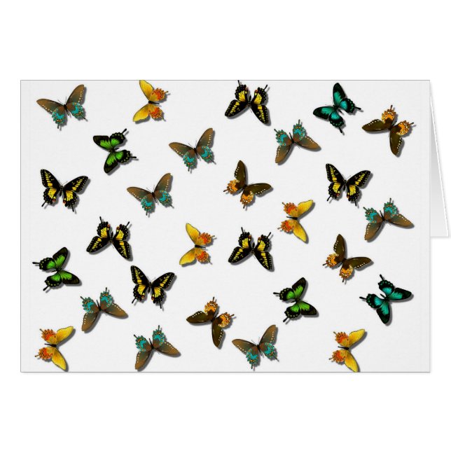 Colored Butterflies Art (Vorderseite (Horizontal))