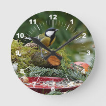 Colorful Bird Red Feeder Pine Photo