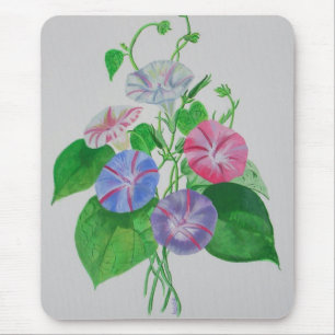 Colorful Climbing Morning Glory Botanical Art Mousepad