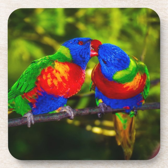 Colorful Couple of Kissing Parrots Getränkeuntersetzer (Vorderseite)