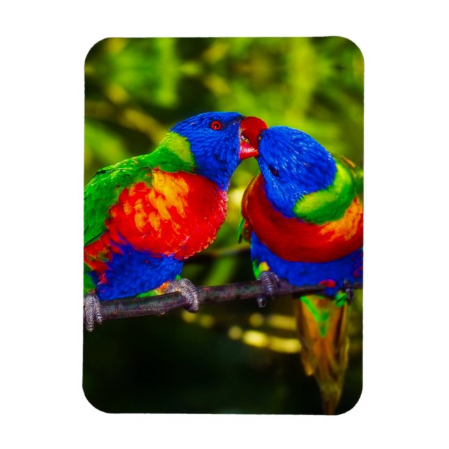 Colorful Couple of Kissing Parrots Magnet (Vertikal)