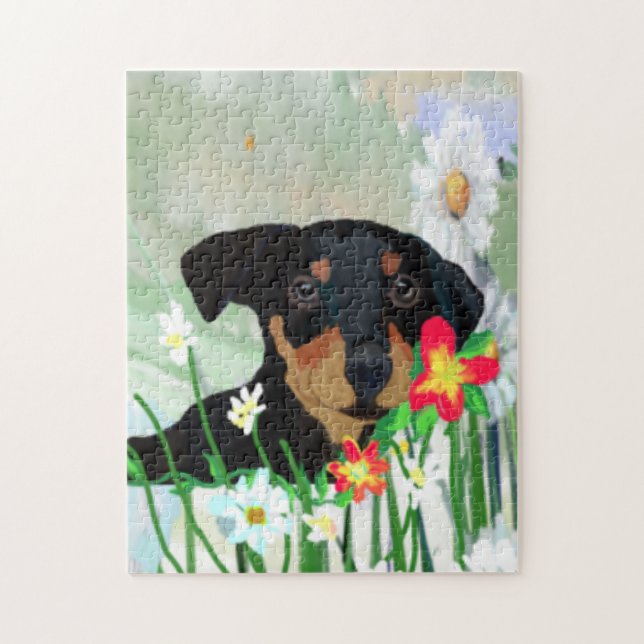 Colorful Daisies and Doberman Pincher Puppy (Vertikal)