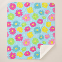 Colorful Daisies