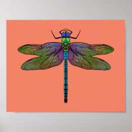Colorful Emperor Dragonfly Art Poster