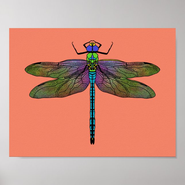 Colorful Emperor Dragonfly Art Poster (Vorne)