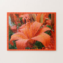 [Colorful Flowers]