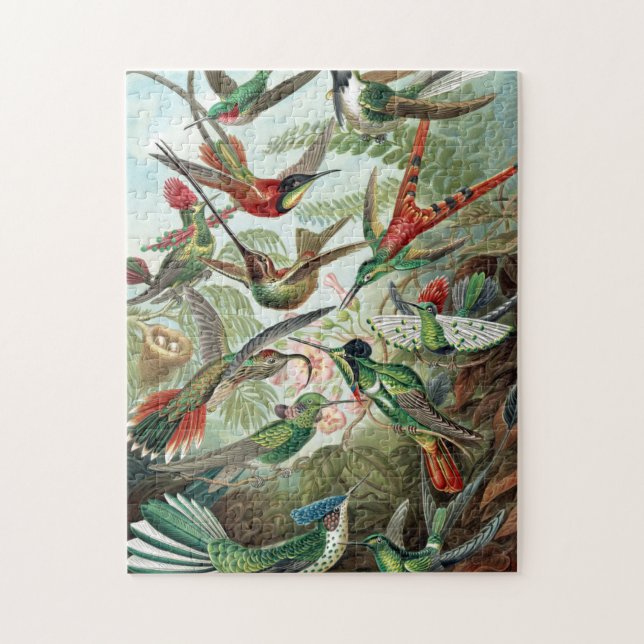 Colorful Hummingbirds von Ernst Haeckel Poster (Vertikal)
