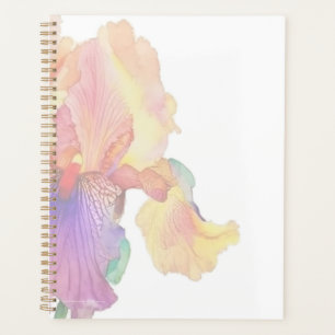 Colorful Iris Planer
