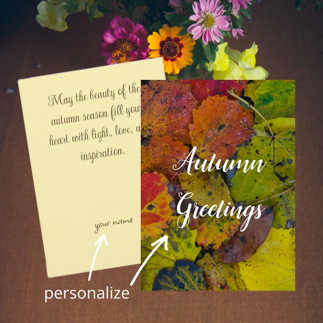 Colorful leaves after rain karte (Von Creator hochgeladen)