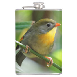 Colorful Leiothrix / Pekin Robin Songbird Flachmann