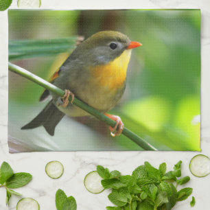 Colorful Leiothrix / Pekin Robin Songbird Geschirrtuch
