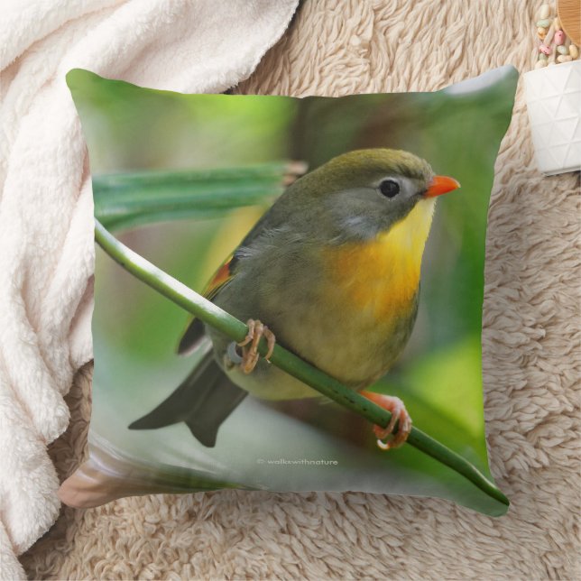 Colorful Leiothrix Pekin Robin Songbird Kissen (Decke)