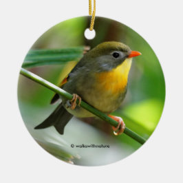Colorful Leiothrix Pekin Robin Songbird Silbernes Ornament